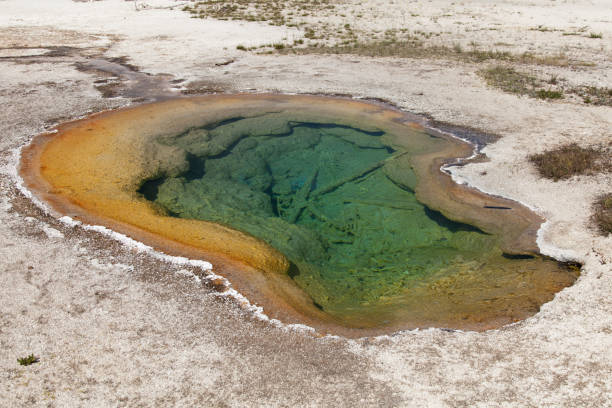 istock Yellowstone National Park 1194101363