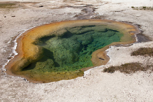 istock Yellowstone National Park 1194101424