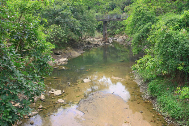 istock Mountain stream flowing into a mountain river hk 1194102506