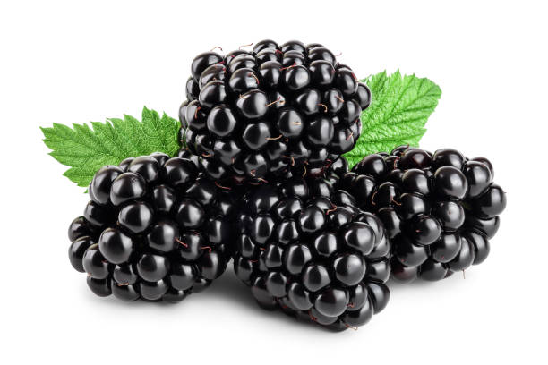 istock blackberry with leaf isolated on a white background closeup 1194103806