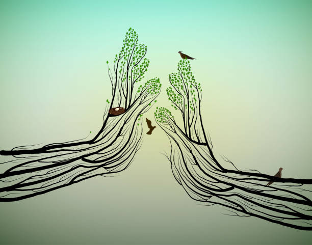 Human hands look like tree branches covering the bird nest, protect the birds and forest,  vector vector art illustration
