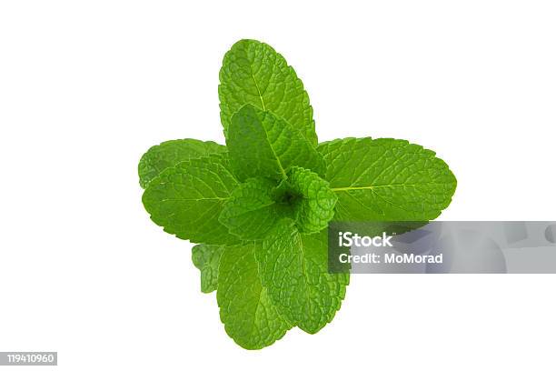 As Stock Photo - Download Image Now - Mint Leaf - Culinary, Directly Above, Cut Out