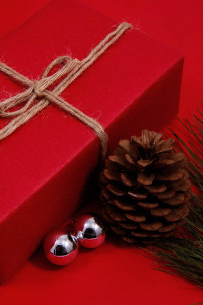 istock Christmas present, pine, pine leaf and shiny silver ornaments. 1194112854