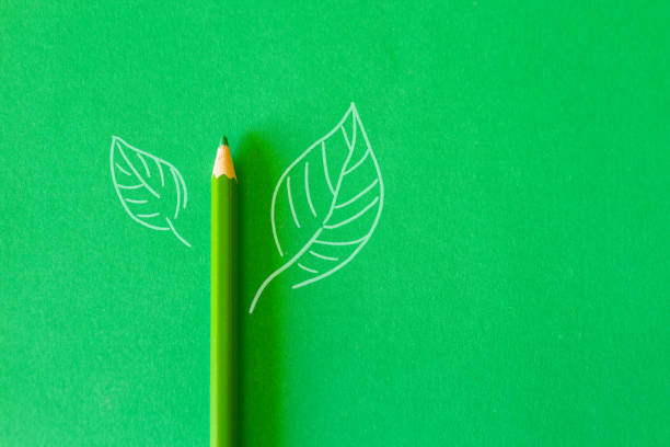 Pencil with broken tip on green background. Closeup photo, copy space.