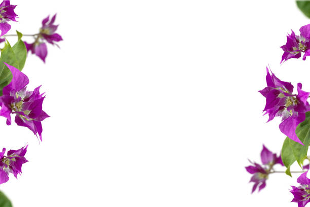 Colorful autumn frame of silk flowers and leaves with soft shadow; copy space 