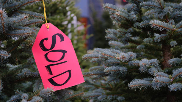 Sold Christmas Trees, Ossington Strip, Toronto, ON.