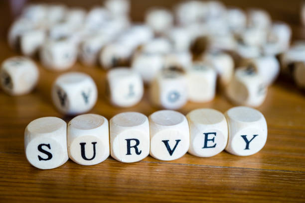 istock survey written with wooden cubes 1194118408