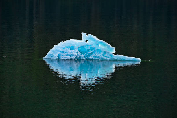 istock Glacial Ice in Endicott Arm Alaska 1194119834