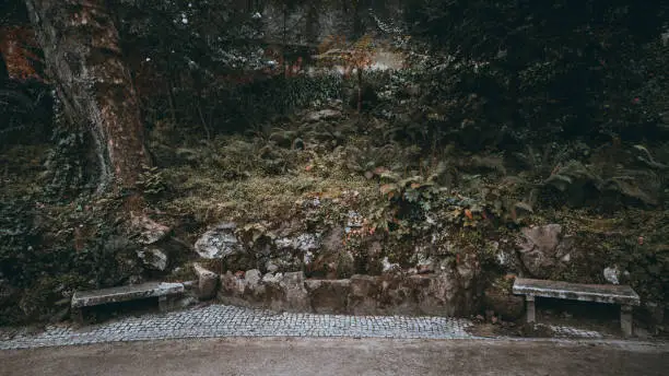 Two antique mossy concrete benches in the shadow, on a paving-stone of a beautiful public park, with trees and different plants in the background, Sintra, Portugal