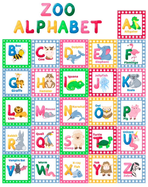Zoo Alphabet Animal Letters Cartoon Cute Characters Isolated Different  Educational Vector English Abs Kid Letter Illustration Stock Illustration -  Download Image Now - iStock