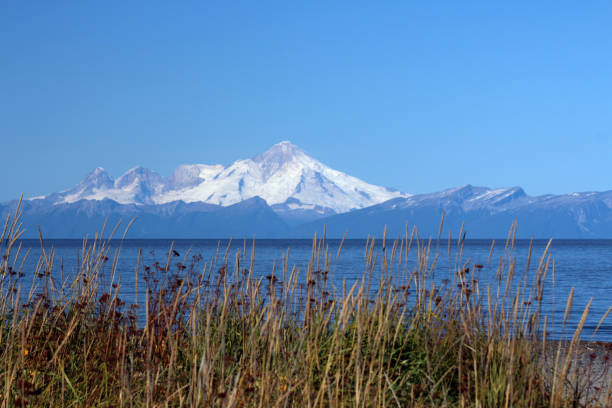 USA, Alaska:- photographed at Cook Inlet