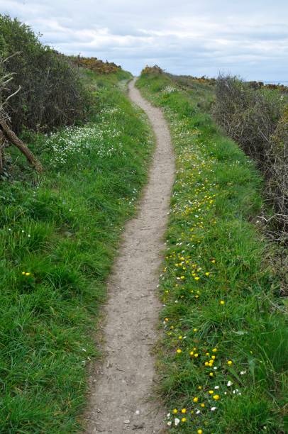 istock GR 34 at Planguenoual in Brittany 1194124818