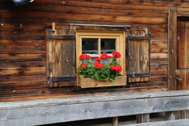 istock Windows with shutters in a wooden house 1194125058