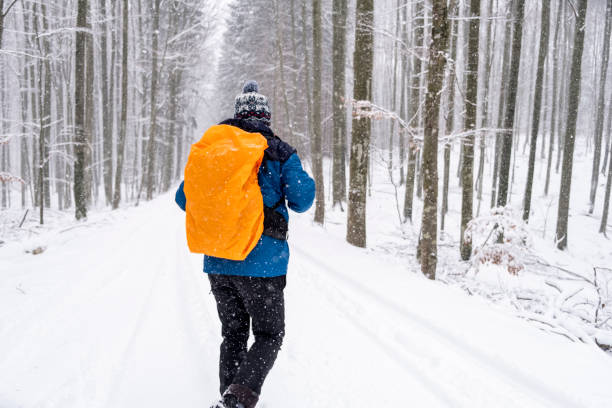 Man with a backpack hiking through a white snowy forest Back View Man with a backpack hiking in a white snowy forest Back View primorska white sport nature stock pictures, royalty-free photos & images