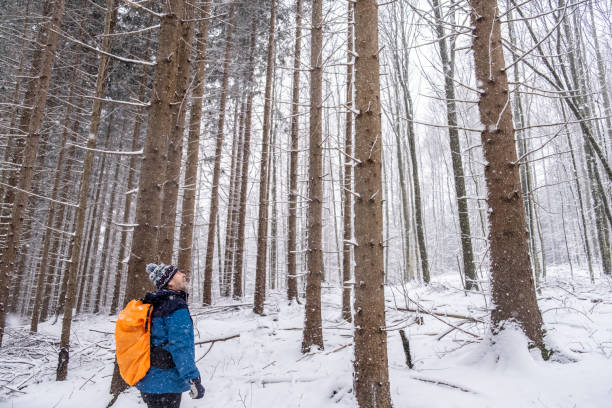 Man admiring beautiful trees in white winter