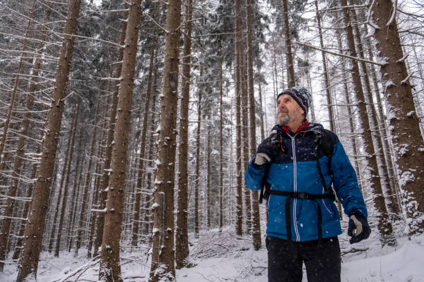 istock Man exploring the forest in snow 1194126670