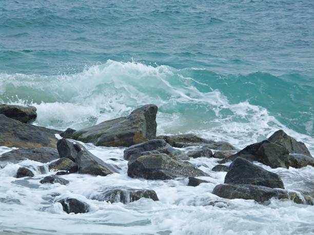 istock Florida Atlantic Ocean - black rocks in the surf 1194127790