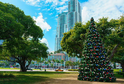 Bay side Miami, Christmas time
