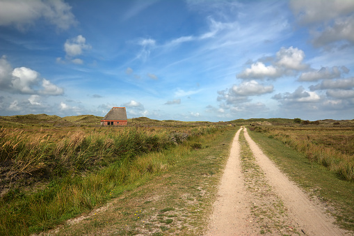 Sendero que conduce a través del parque nacional holandés 'De Muy' con edificio de bungalows de refugio de ovejas en la isla de Texel en los Países Bajos photo