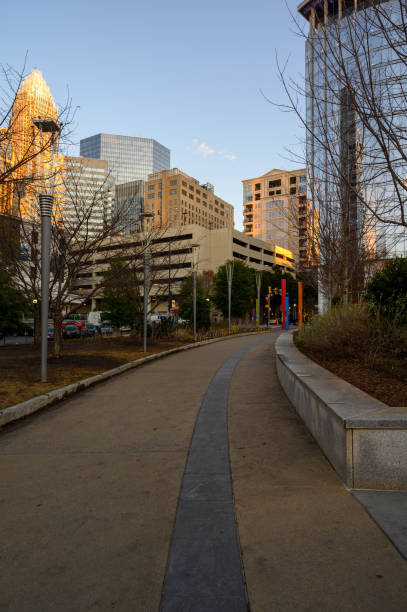 istock Looking at the skyline at dusk from the park 1194132458