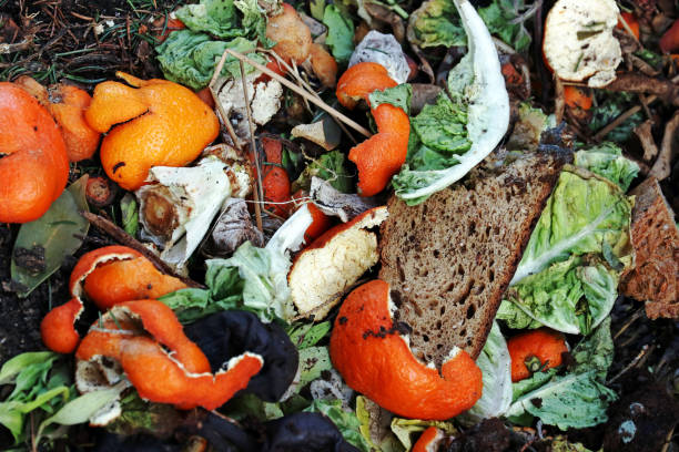 wyrzucone i zepsute jedzenie na stercie śmieci - rotting food mold fruit zdjęcia i obrazy z banku zdjęć