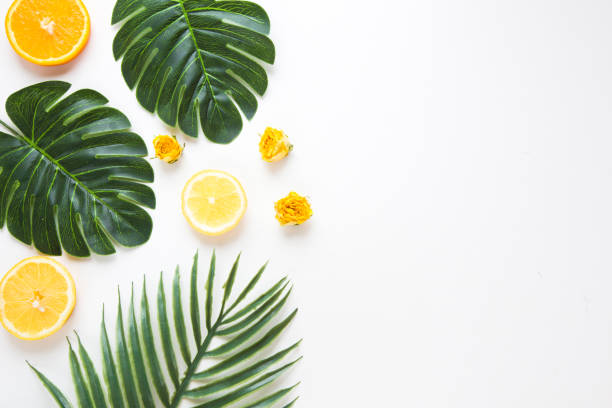 istock Creative hipster tropical leaves and orange fruit background with copy space on bright background. Tropical concept. 1194136224