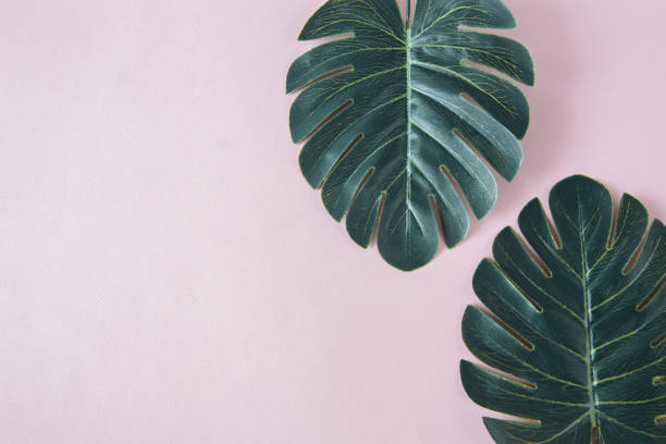 istock Creative hipster tropical leaves on pink background with copy space on bright background. Tropical concept. flatlay 1194137440