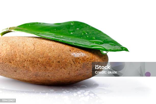 Stone Und Blatt Stockfoto und mehr Bilder von Bildkomposition und Technik - Bildkomposition und Technik, Blatt - Pflanzenbestandteile, Farbbild