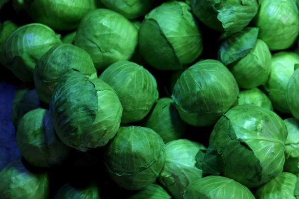 Cabbage or headed cabbage is a leafy green, red, or white biennial plant grown as an annual vegetable crop for its dense-leaved heads.