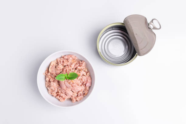 istock Canned tuna in a white bowl, isolated on white; empty open tuna tin on a white background; copy space, soft light, studio shot 1194140400