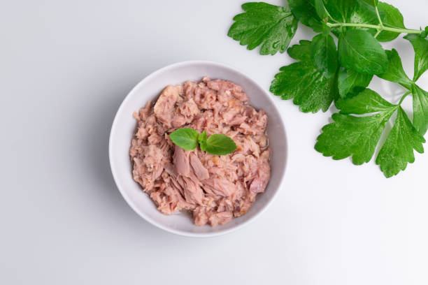 istock Canned tuna in a white bowl, isolated on white; empty open tuna tin on a white background; copy space, soft light, studio shot 1194140954