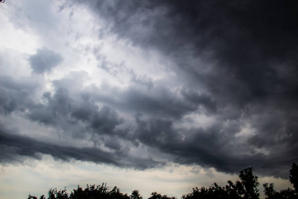 istock The storm is approaching. A gray sky above trees. Amazing views of clouds.  Clouds background. Nature is painting by clouds 1194147628
