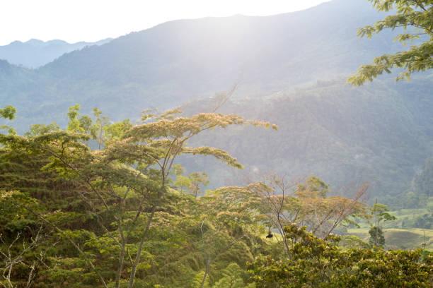 Sunset with lights between the mountains in Colombian landscape.