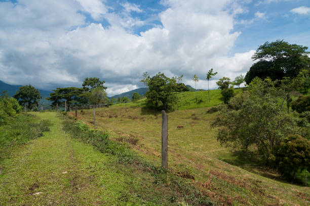 istock Colombian countryside landscape 1194151304