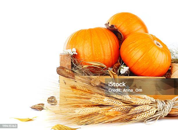 Foto de Abóboras Ainda Vida e mais fotos de stock de Agricultura - Agricultura, Alimentação Saudável, Amarelo