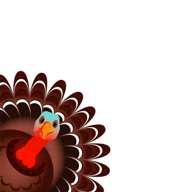 Vector illustration of Colorful cartoon of Turkey bird for Happy Thanksgiving celebration