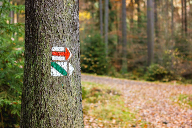 Red and greedn trail marking on tree in Czech Republic for tourist, hiker. Trail marking on tree in Czech Republic. Painted mark for tourist, hiker and trekker. Method of navigation on touristic routes and paths in nature. Very low depth of field trailblazing stock pictures, royalty-free photos & images