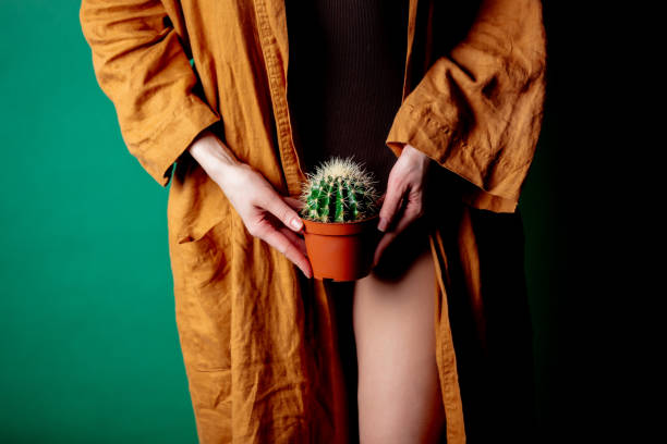istock woman holds cactus in her hands at foot level 1194156949