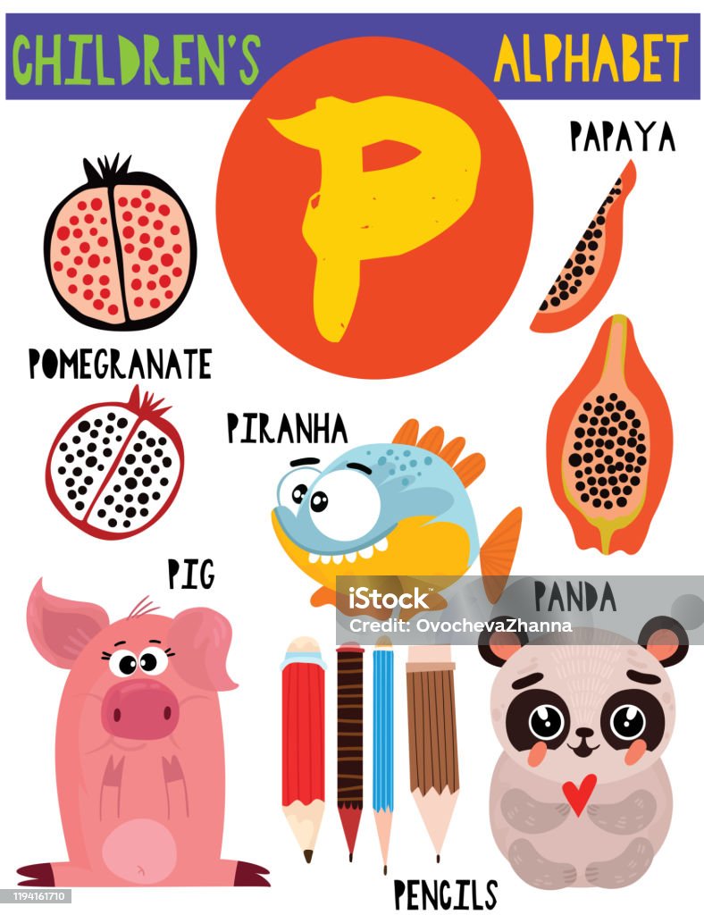 Letter Pcute Childrens Alphabet With Adorable Animals And Other  Thingsposter For Kids Learning English Vocabularycartoon Vector  Illustration Stock Illustration - Download Image Now - iStock