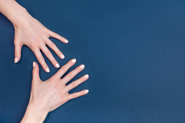 Beautiful female hands with a classic manicure on a blue background. Beautiful female hands with a classic manicure on a blue background. Place for your text. fake nail ideas stock pictures, royalty-free photos & images