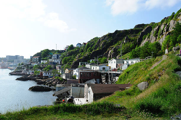 istock Houses on the coast at St. John's 119417349