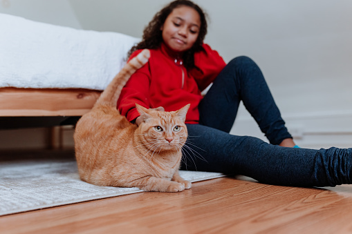 Teenager playing with cat