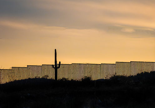 US -Mexico border wall at sunset with iconic saguaro cactus