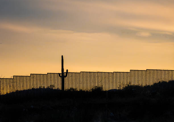 mur graniczny usa -meksyk o zachodzie słońca z kultowym kaktusem saguaro - photography north america cactus plant zdjęcia i obrazy z banku zdjęć