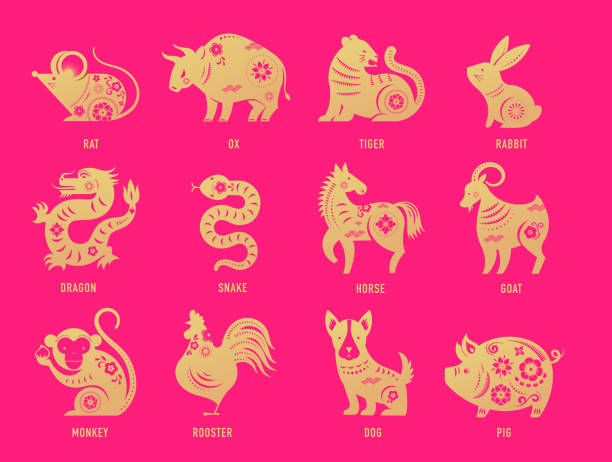 중국 새해, 조디악 표지판, 종이 컷 아이콘과 기호. 벡터 일러스트레이션 - snake chinese new year chinese zodiac sign china stock illustrations