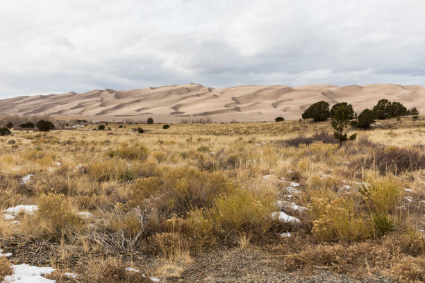 istock Great Sand Dunes National Park Landscape - Colorado 1194179350