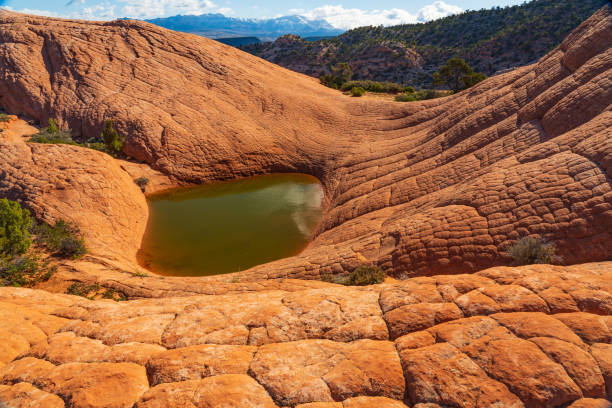 istock Eroded Sandstone and a Seasonal Pond 1194180393