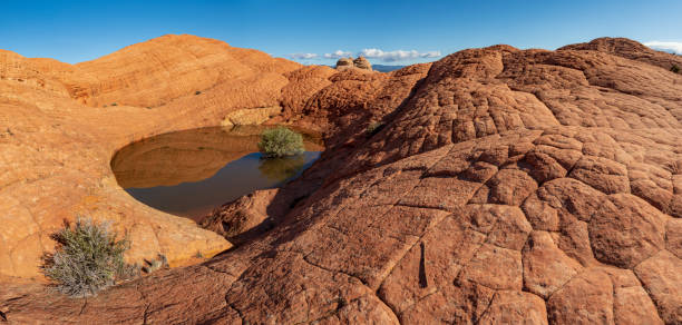istock Etched Sandstone in Red Cliffs Desert Reserve 1194180566