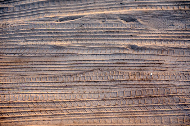 tracks of car tires in the sand near a beach parking area at sunset - outline road footpath single lane road imagens e fotografias de stock