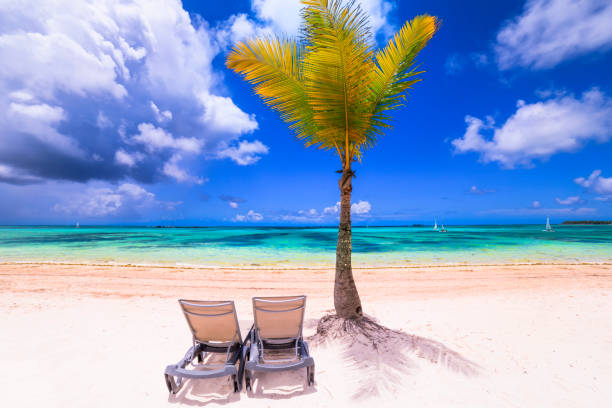 istock Turquoise natural pool, Beach chairs under palm tree – Punta Cana, Caribbean sea 1194185265